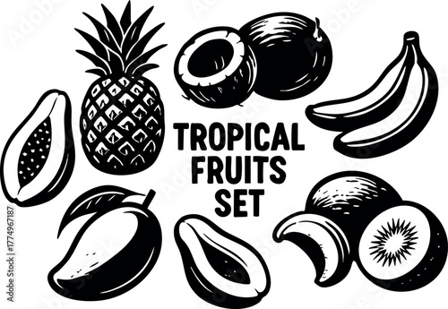Tropical fruits set including pineapple banana mango papaya kiwi coconut avocado vector illustration collection