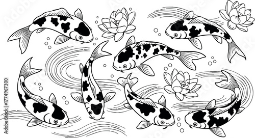 Koi fish swimming in pond with lotus flowers traditional Japanese style vector art illustration