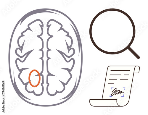 Brain scan illustration with marked area, magnifying glass symbolizing examination, and a signed document. Ideal for neurology, research, diagnosis, study, healthcare, legal scientific research