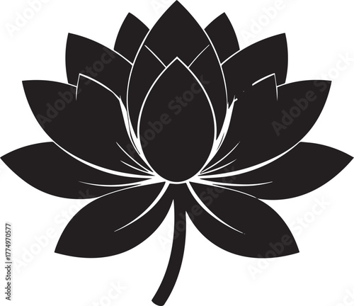  Sacred Lotus Flower Silhouette Vector Illustration