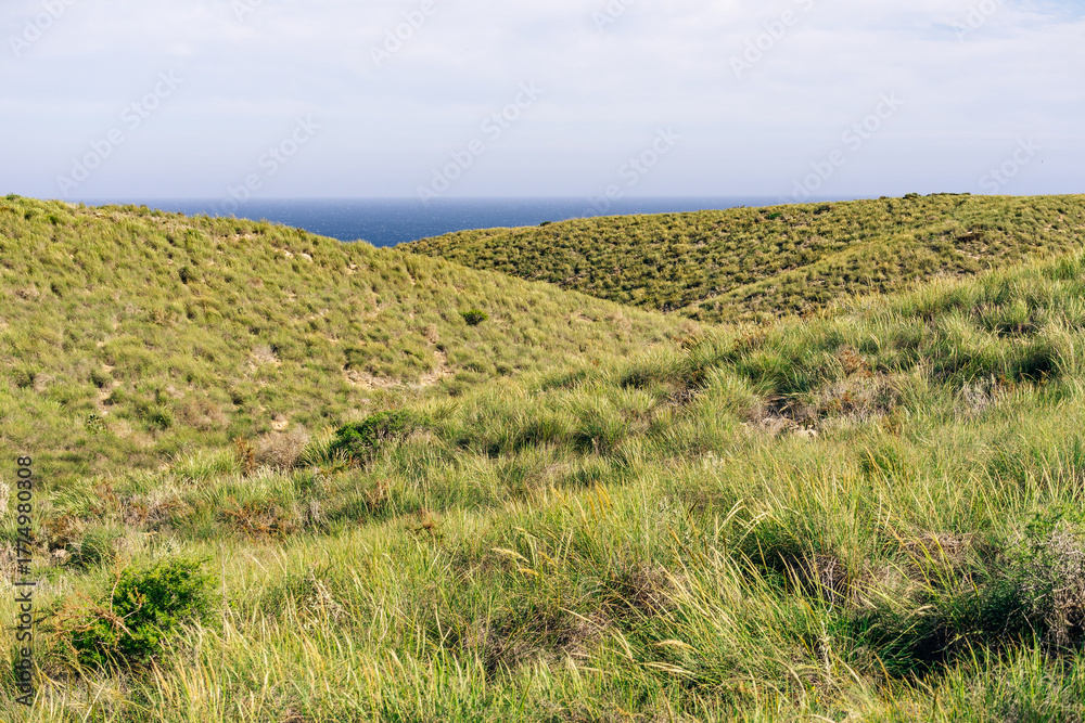 Obraz premium Volcanic Landscape in Cabo de Gata Natural Park under sunset Light, Almeria, Spain