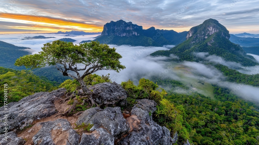 Fototapeta premium Lush Tropical Forest Shrouded in Morning Mist at Sunrise with Dramatic Rock Formations