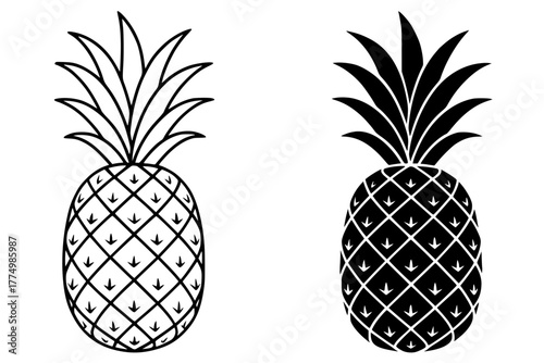 Pineapple Vector Illustration, Outline and Silhouette Versions