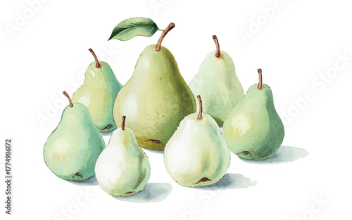 Green Pear Vector Illustration Watercolor Fruit Healthy Food Fresh