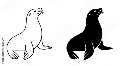 Sea Lion Vector Illustration, Outline and Silhouette Versions