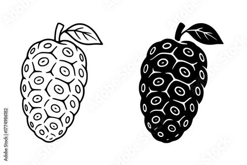 Noni Fruit Vector Illustration, Outline and Silhouette Versions