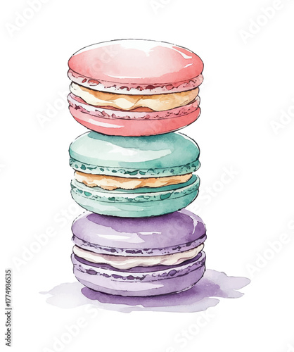 Macaron Vector Illustration Delicious Sweet Dessert Pastry Bakery Colors