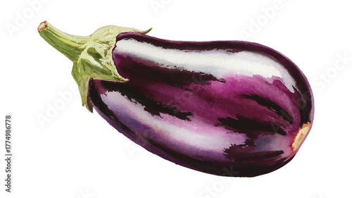 Ripe Eggplant Vector Illustration