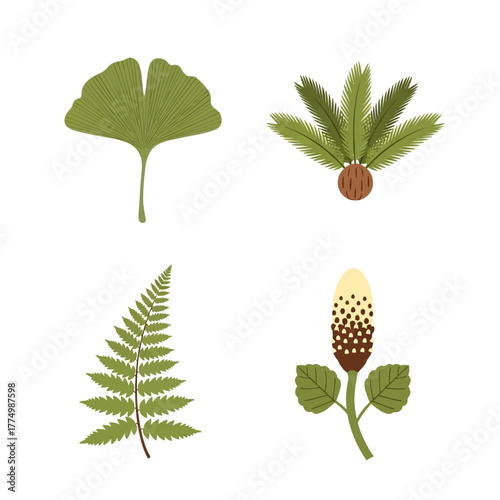 Diverse Botanical Illustrations of Plant Leaves and Structures.