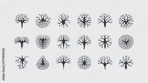 Collection of stylized tree silhouettes viewed from above, representing different species and growth stages, perfect for landscape design and architectural visualization