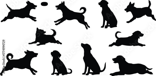 Dog silhouettes collection, running dog, jumping dog, sitting dog, playful dog, pet vector illustration, animal poses, domestic dogs, black silhouette art