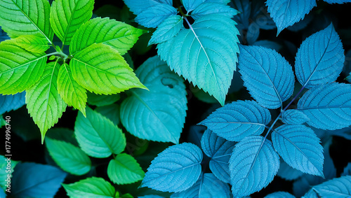 The image showcases several plant leaves with a dominant blue hue, arranged in a well-balanced composition