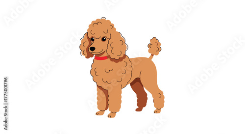 An adorable cartoon brown poodle with a red collar stands in a classic show clip, looking friendly and attentive against a clean white background.