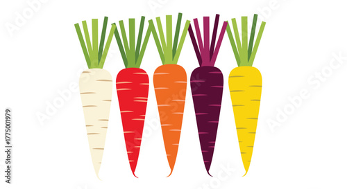 An illustration featuring a vibrant lineup of five colorful carrots in white, red, orange, purple, and yellow, each with green tops.