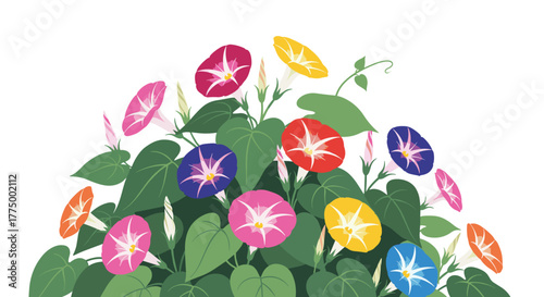 A vibrant and cheerful cluster of colorful morning glory flowers in full bloom with lush green leaves and vines, set against a clean white background.