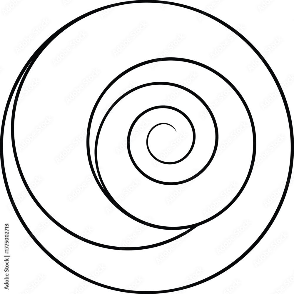 Fototapeta premium Minimal Spirals and Circles Line Art with Transparent Background