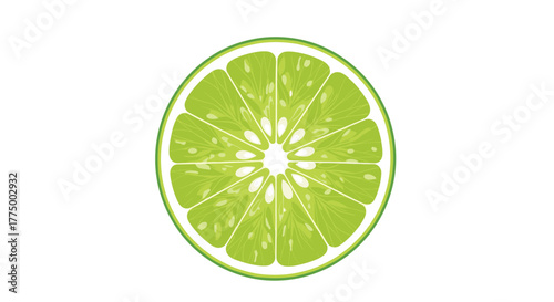 A freshly cut, bright green lime slice, illustrating its internal structure with juicy segments and a white core, against a pristine white backdrop.