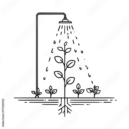 Plant irrigation system for growth and sustainability with a modern design and minimalist style