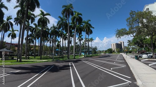 Outdoor parking lot with palm trees under a sunny sky