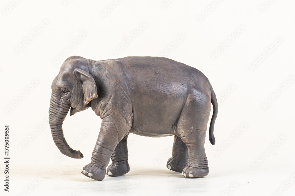 Obraz premium asian elephant on isolated background