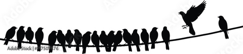 Silhouetted flock of birds perched on a wire with one bird taking flight against a white background