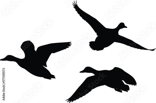 Three silhouettes of canadian geese flying in formation against a white background