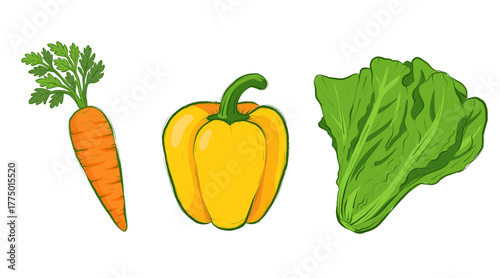 Fresh Vegetables Vector Illustration – Lettuce, Paprika, and Carrot on White Background
