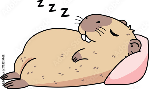 Cute Capybara Napping Peacefully with Zzz