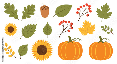 Vibrant autumn collection featuring fall leaves, pumpkins, sunflowers, acorns, and berries, ideal for harvest season designs.