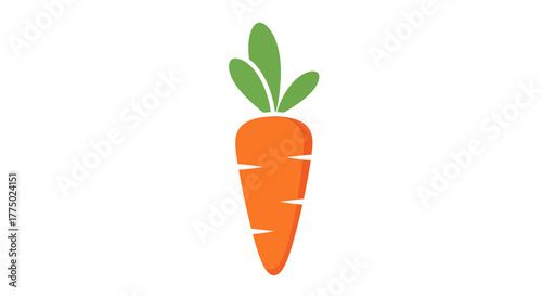 Vibrant and Appealing Carrot Illustration for Healthy Eating and Lifestyle Themes
