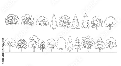 Tree Elevation Outline Vector Collection – Minimal Black Line Drawings of Diverse Tree Forms for Landscape Architecture, Botanical Art, and Environmental Design Projects