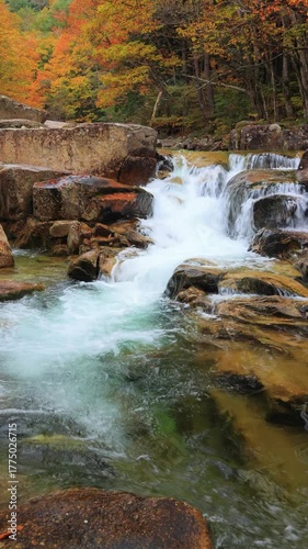 vertical video of waterfall in autumn forest