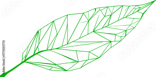 Beautiful tree leaf set silhouette Leaf sprout icon vector illustration