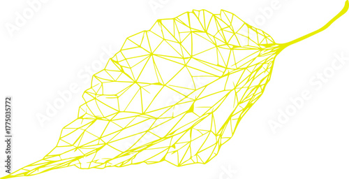 Beautiful tree leaf set silhouette Leaf sprout icon vector illustration