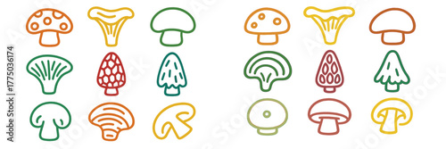 Various mushroom illustrations showing diverse shapes and colors in a playful arrangement on a light background