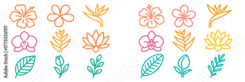 Collection of colorful flower and leaf illustrations in simple line art style perfect for design projects