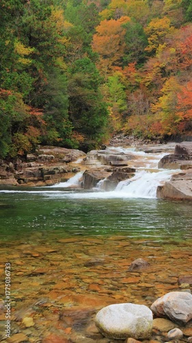 vertical video of waterfall in autumn forest