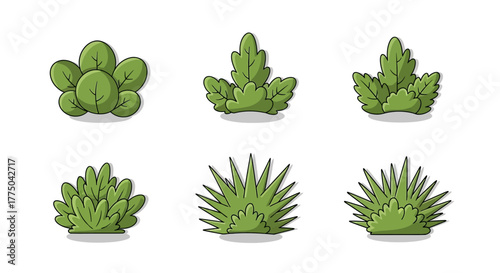 Collection of six different green succulent plants in pots on a white background, flat lay.