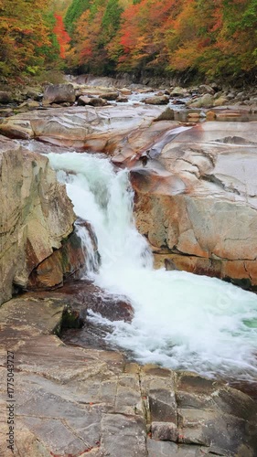 vertical video of waterfall in autumn forest