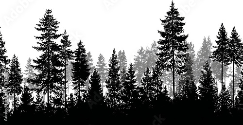 Silhouette forest, pine tree, dark night, moody landscape, misty woods evoke calm