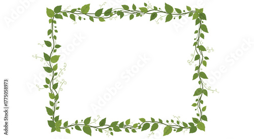 Elegant green foliage vine rectangular frame with delicate leaves and tendrils, offering a natural and organic border for various design projects.