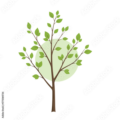 A minimalist illustration of a young tree with green leaves and a light green circle behind it.