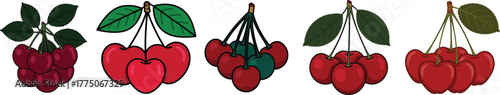 Various Styles of Fresh Red Cherry Fruit Bunches Vector Collection