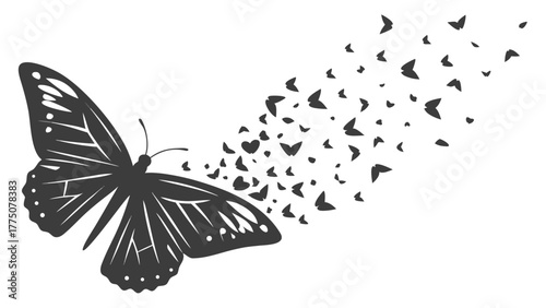 Silhouette of a butterfly with detailed wings transforming into smaller flying butterflies design vector