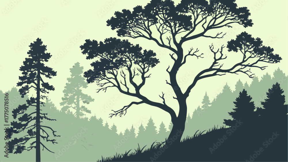 Fototapeta premium Silhouette of trees in a misty forest landscape with a large tree in the foreground and pine trees behind