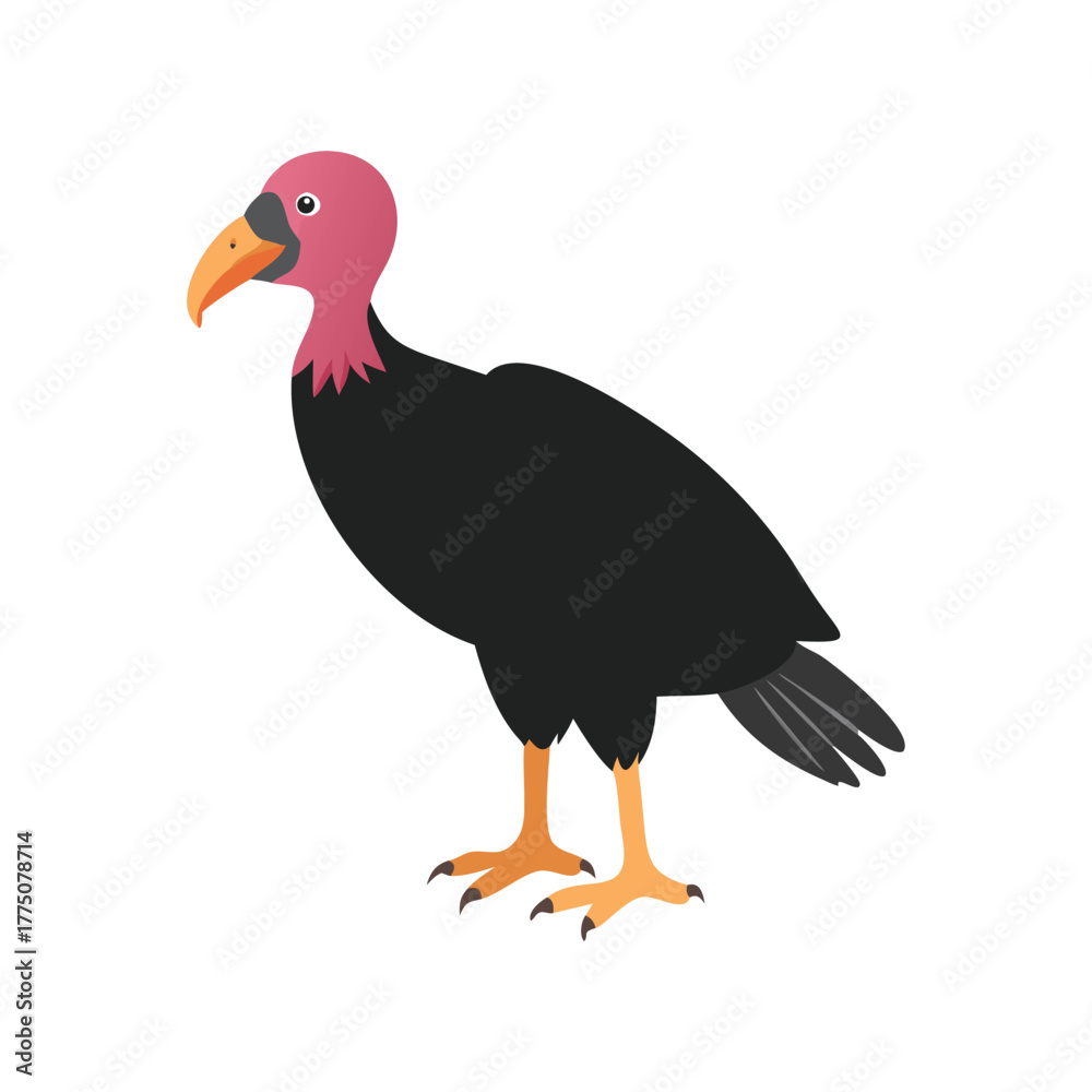 Obraz premium vulture cartoon isolated on white