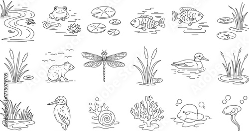 Pond ecosystem animals and plants line art illustration with frog, fish, duck, dragonfly, and aquatic nature scene, cad drawing flat vector illustration