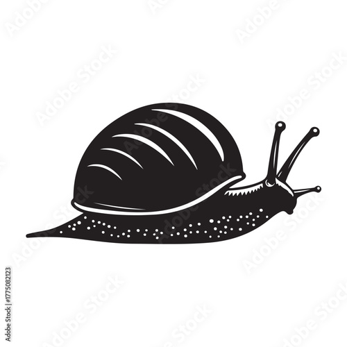 Vector illustration of a snail walking slowly in a simple and clean style.