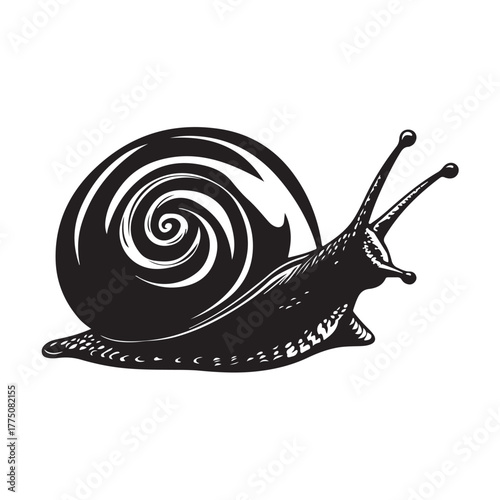 Silhouette vector illustration of a snail animal walking slowly in a simple and elegant style.