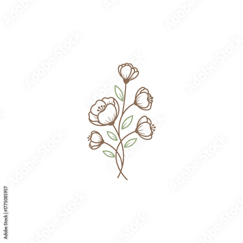 A delicate floral illustration featuring blooming flowers with stems and leaves, rendered in a minimalist, line art style.